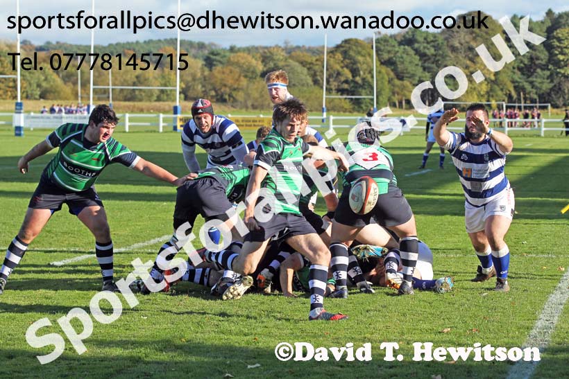 Tynedale v Preston Grasshoppers, Tynedale Park, Corbridge, Northumberland. Photo: David T. Hewitson/Sports for All Pics